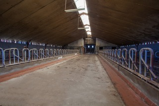 Rietmolen - Teesselinkweg 7